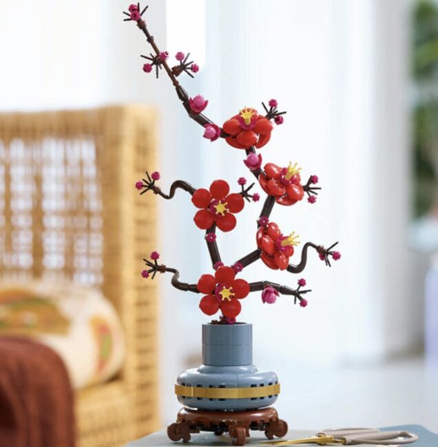 plum blossoms, Lego, isabella, Diverses, Durban 