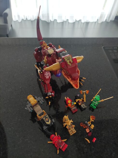 Wyldfires Lavadrache, Lego 71793, Michelle, NINJAGO, Arbon